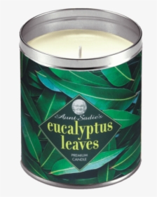 Eucalyptus Leaves Png, Transparent Png, Free Download