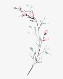 Transparent White Watercolor Png, Png Download, Free Download