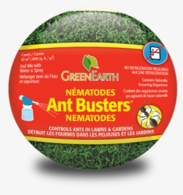Green Earth Png, Transparent Png, Free Download
