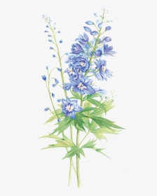 Hyacinthus Orientalis Floral Design Flower Purple, HD Png Download, Free Download