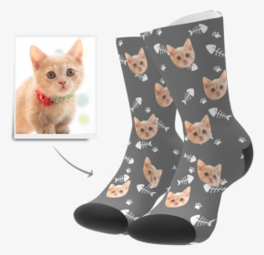 Kitten Face Png, Transparent Png, Free Download