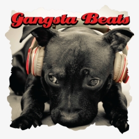 Gangsta Beats, HD Png Download, Free Download