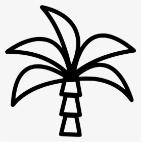 Palm Tree, HD Png Download, Free Download