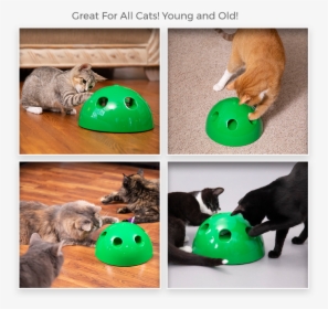 Cat Toy Png, Transparent Png, Free Download