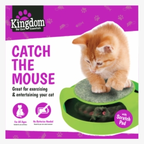 Catch The Mouse Cat Toy, HD Png Download, Free Download