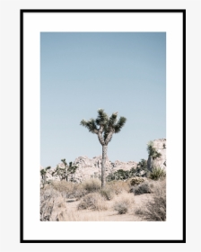 Joshua Tree National Park I Poster, HD Png Download, Free Download