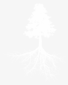 Tree, HD Png Download, Free Download