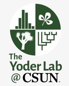 The Yoder Lab @ Csun, HD Png Download, Free Download