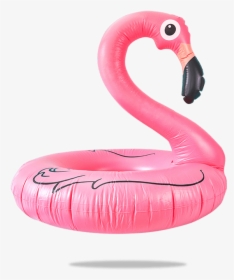 Floatie Png, Transparent Png, Free Download