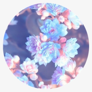 Aesthetic Flower Png, Transparent Png, Free Download