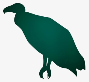 Turkey Vulture Png Silhouette Transparent Background, Png Download, Free Download