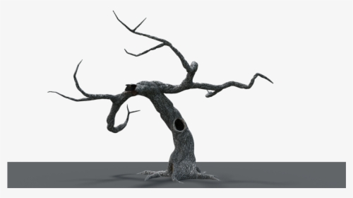 Spooky Tree - Monochrome, HD Png Download, Free Download