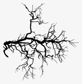 Spooky Tree Png, Transparent Png, Free Download