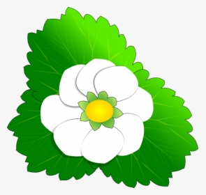 Strawberry Flower Svg Clip Arts, HD Png Download, Free Download