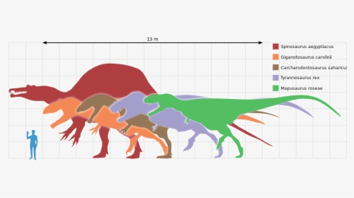 Spinosaurus Png, Transparent Png, Free Download