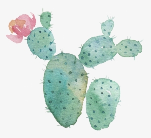 Cactus Clipart Watercolor - Flowering Prickly Pear Cactus Watercolor ...