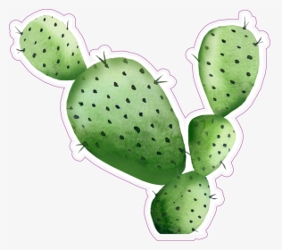 Sharp Watercolor Cactus Sticker, HD Png Download, Free Download