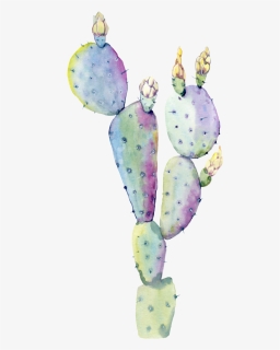 Cactus Clipart Watercolor - Flowering Prickly Pear Cactus Watercolor ...