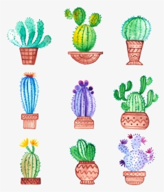 Cactaceae Watercolor Painting Drawing, HD Png Download, Free Download