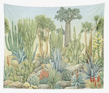 Watercolor Cactus Png, Transparent Png, Free Download