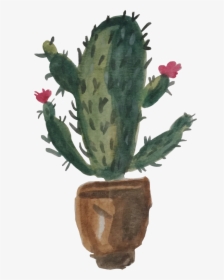 My Draw “cactus” I Turned It Into A Sticker Hope It, HD Png Download, Free Download