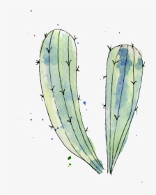 Blue Green Cactus Watercolor Hand Painted Transparent, HD Png Download, Free Download