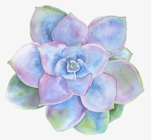 #saculent #cactus #flower #purple #watercolor #watercolour, HD Png Download, Free Download