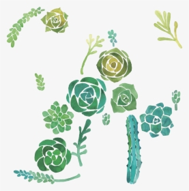 Cactaceae Watercolor Painting Succulent Plant Illustration, HD Png Download, Free Download