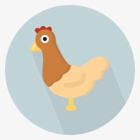 Chickens Clipart Tail, HD Png Download, Free Download