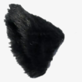 Wolf Ears Png, Transparent Png, Free Download