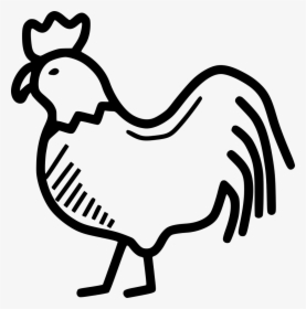 Function Drawing Chicken Beak, HD Png Download, Free Download