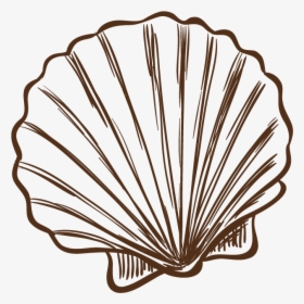 Seashell Illustration Hand Painted Shells Transprent, HD Png Download, Free Download