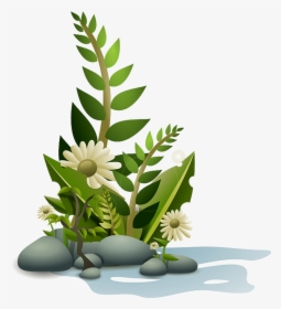 Aquatic Plants Clip Art, HD Png Download, Free Download