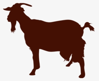 Goat Png Transparent Images, Png Download, Free Download