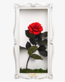 Wall Frame, HD Png Download, Free Download