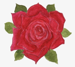 Single Red Rose Png, Transparent Png, Free Download