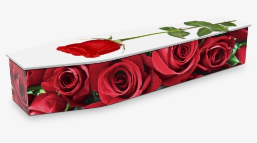 Single Red Rose Png, Transparent Png, Free Download
