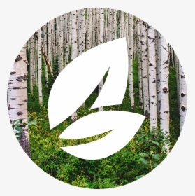 Earth Png Icon, Transparent Png, Free Download