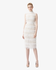 Lace Trim Png, Transparent Png, Free Download