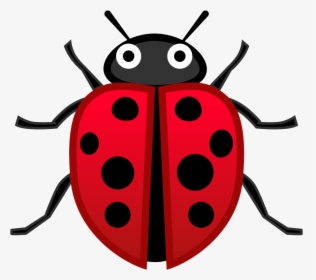 Lady Beetle Icon, HD Png Download, Free Download
