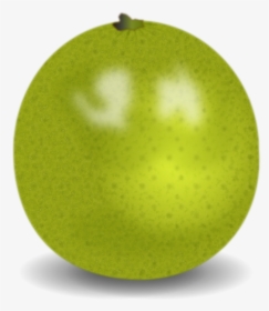 Apple,citrus,granny Smith, HD Png Download, Free Download