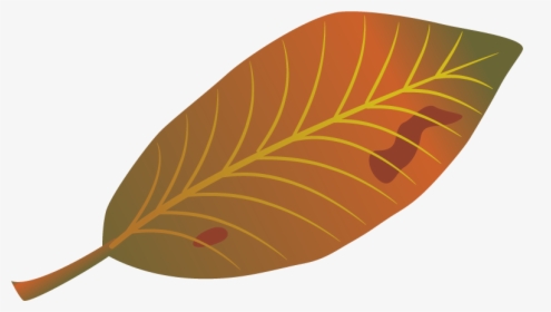 Leaf Autumn Clip Art, HD Png Download, Free Download