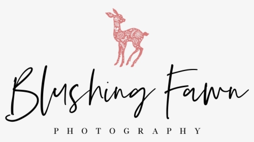 Blushing Fawn Photography, HD Png Download, Free Download