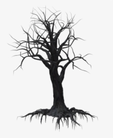 Dead Tree Silhouette Png, Transparent Png, Free Download