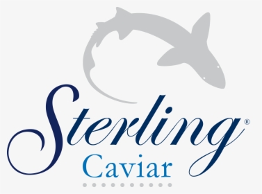 Caviar Png, Transparent Png, Free Download