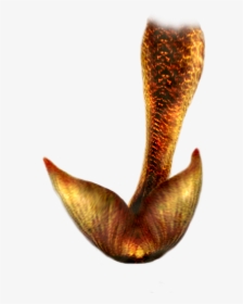 Download Mermaid Tail Png Hd Hq Png Image, Transparent Png, Free Download