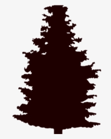 Vector Pine Tree, HD Png Download, Free Download