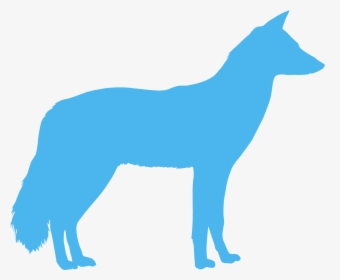 Jackal Png, Transparent Png, Free Download