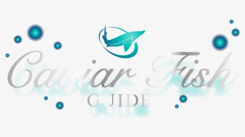 Caviar Fish Guide, HD Png Download, Free Download