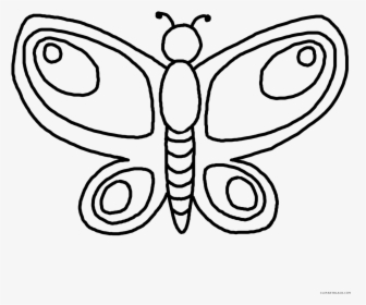 Butterfly Drawing Clip Art, HD Png Download, Free Download